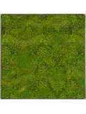 Mosschilderij Nova Frame Natural-concrete 100% Platmos