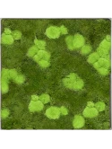 Mosschilderij Nova Frame Natural-concrete 30% Bol- en 70% platmos