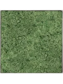 Mosschilderij Nova Frame Natural-concrete 100% Rendiermos (Mosgroen)