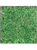 Mosschilderij Nova Frame Natural-concrete 100% Rendiermos (Grasgroen)