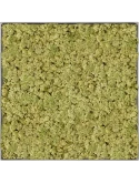 Mosschilderij Nova Frame Natural-concrete 100% Rendiermos (Oudgroen)
