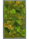 Mosschilderij MDF RAL 7016 Zijdeglans 20% Plat en 80% Exclusieve Moss (mix)