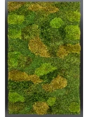 Mosschilderij MDF RAL 9005 Zijdeglans 20% Plat en 80% Exclusieve Moss (mix)