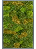Mosschilderij MDF RAL 7016 Zijdeglans 20% Plat -en 80% Exclusive moss (mix)