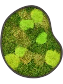 Mosschilderij Organic Frame #1 Earth Mos (Mix)