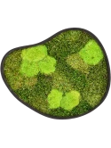 Mosschilderij Organic Frame #3 Earth Mos (Mix)