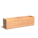 Hardhout carrez